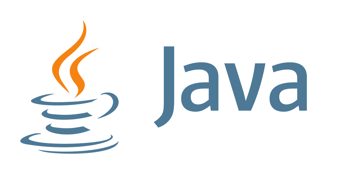 Disrupting Software Development with Java - NextGen Coding Company