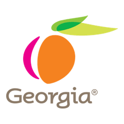 Georgia Business Certification